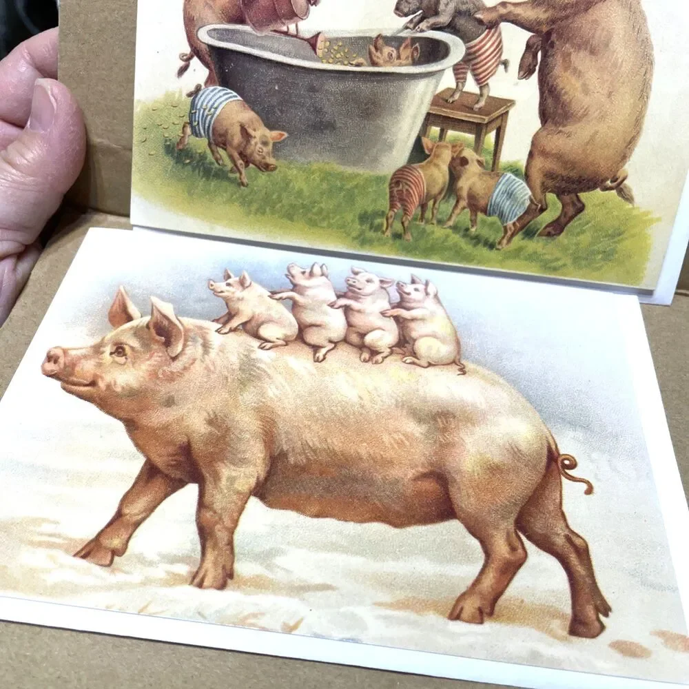 Whimsical Pig Greeting Cards Blank With Envelope 3pcs Vintage Ephemera Farm